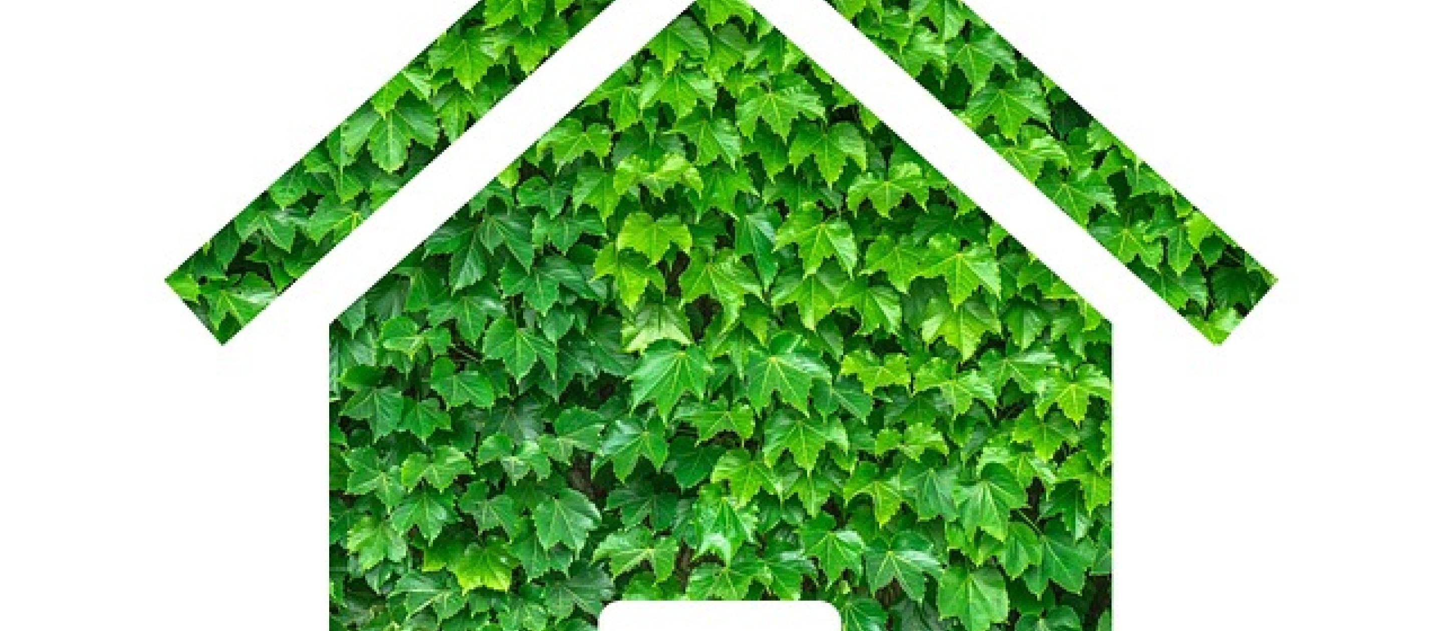 Ökologisch bauen und wohnen