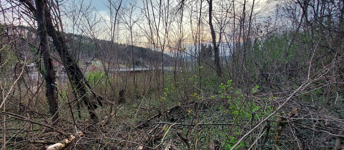 Baugrund nahe Wolkersdorf mit einem Einfamilien-/Doppelhaus